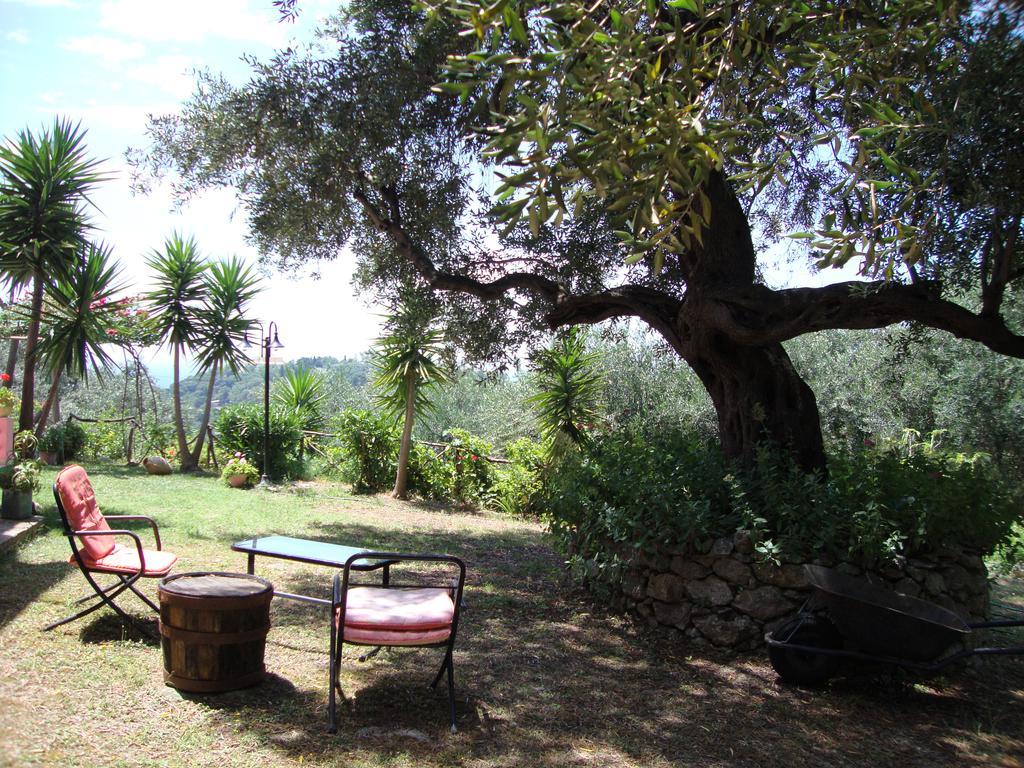 Ipsia Apartments Paleokastritsa Habitación foto